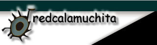 calamuchita